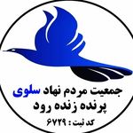 جمعیت مردم نهاد سلوی